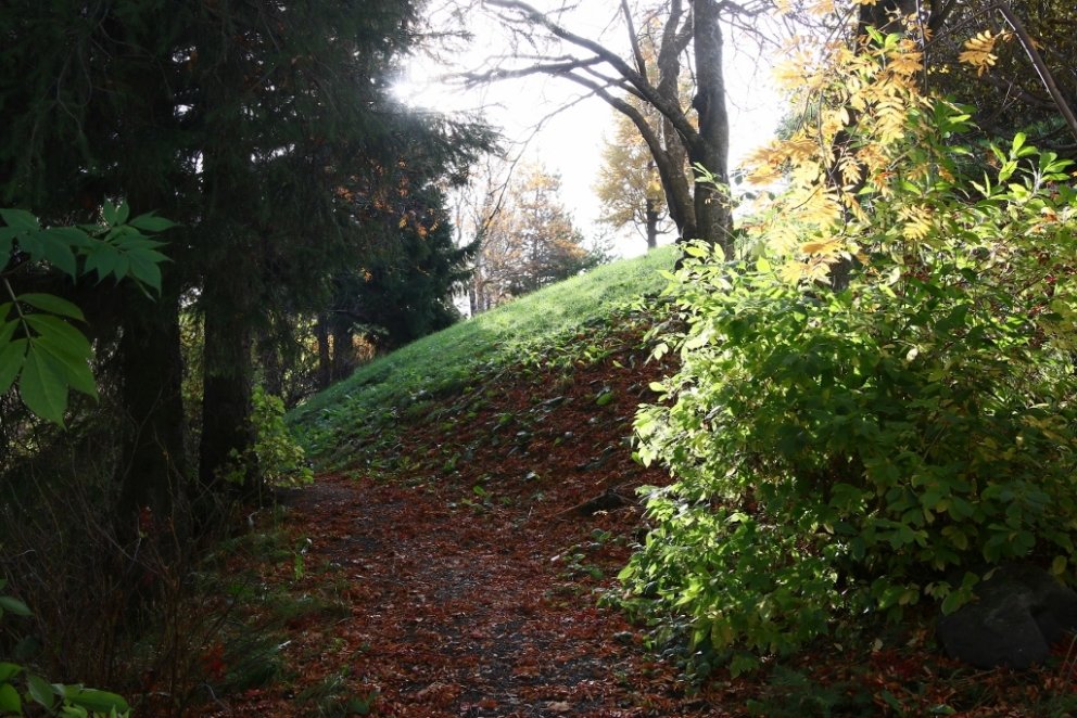 Áherslur stjórnmálaflokkanna í skógræktarmálum
