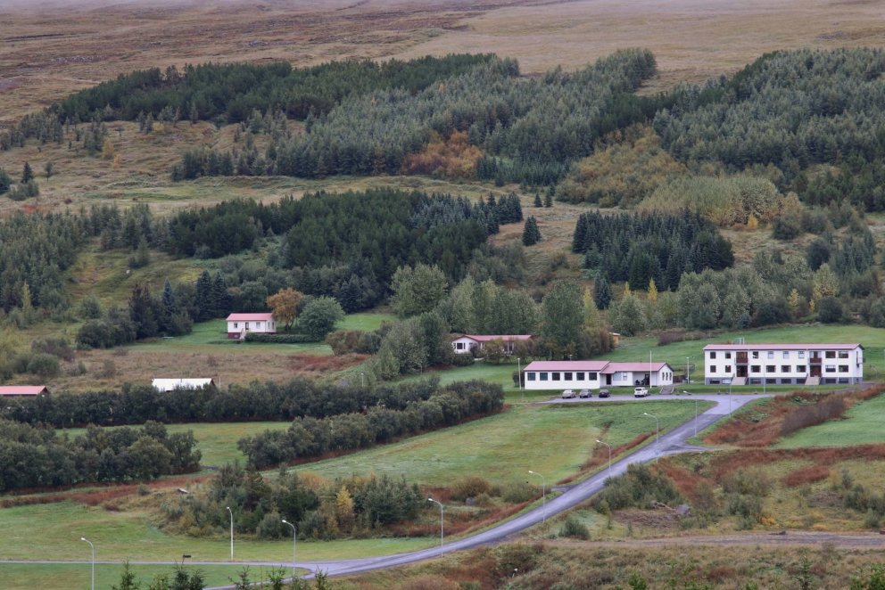 Laugar í Reykjadal eru gott dæmi um það hvernig ræktaður skógur styður við annan landbúnað eða atvin…