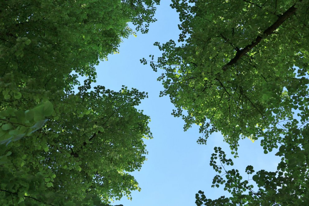 Ljósmynd: Pétur Halldórsson