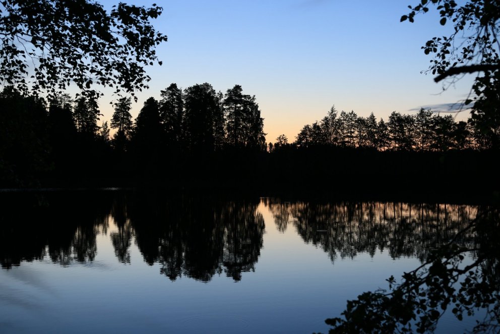 Sumarkvöld í skógi við finnsku vötnin. Ljósmynd: Pétur Halldórsson