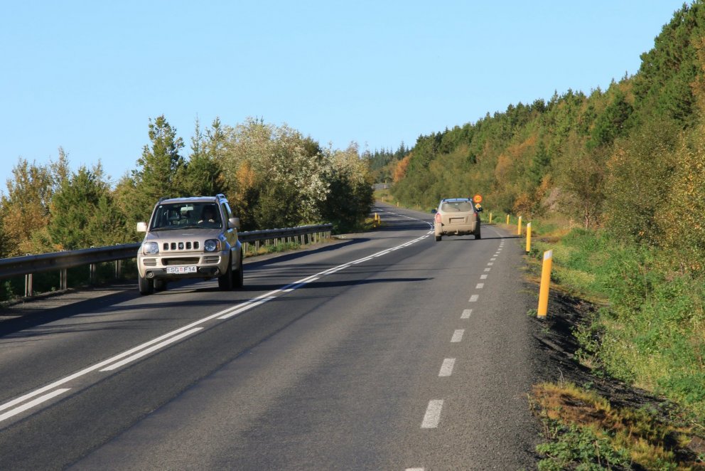 Ferðamenn sem leigja bíl hjá Avis-bílaleigunni geta brátt keypt tré sem gróðursett verða í þjóðskógu…