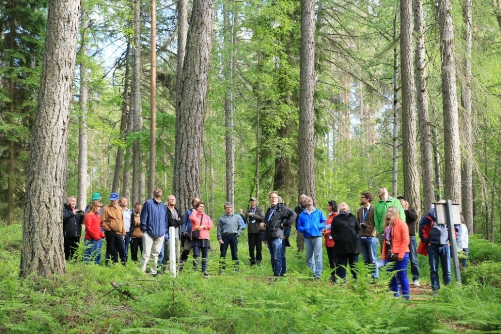 Skógvísindafólk í skoðunarferð um finnskan skóg í júní 2016. Mynd: Pétur Halldórsson