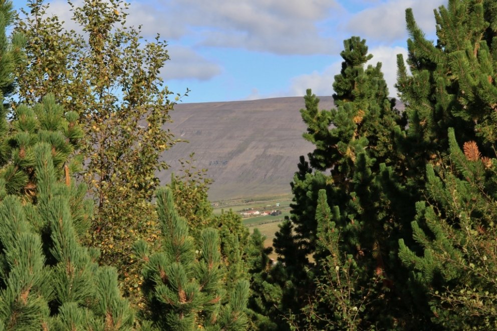 Úr Eyjafjarðarsveit