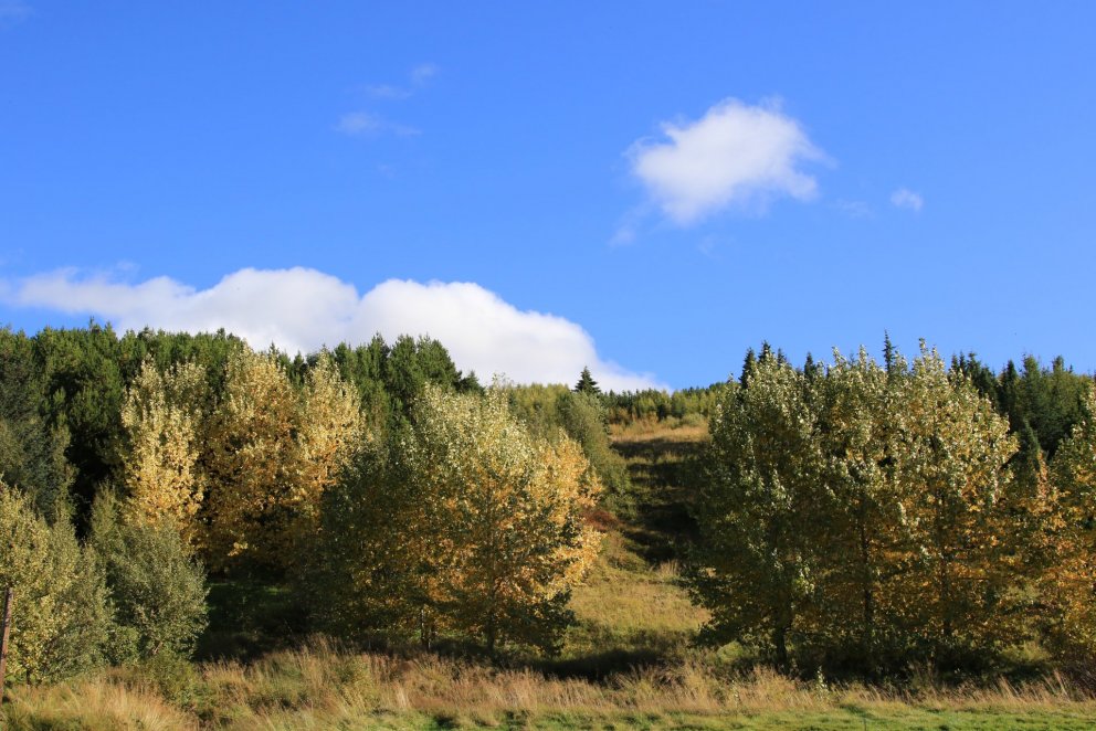 Mynd: Pétur Halldórsson