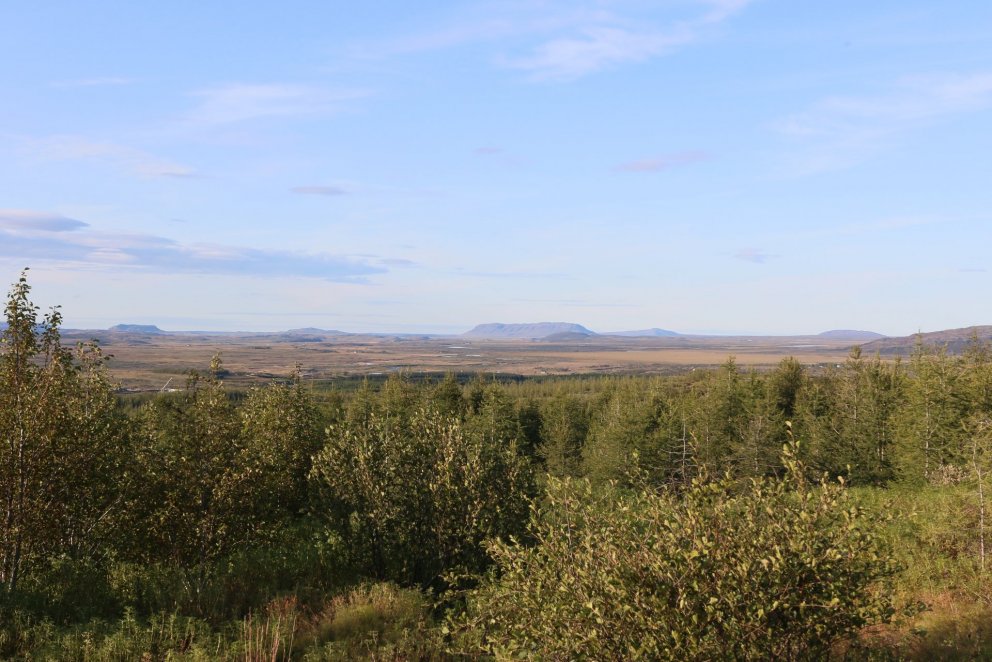 Séð niður í Haukadal af Haukadalsheiði. Ljósmynd: Pétur Halldórsson