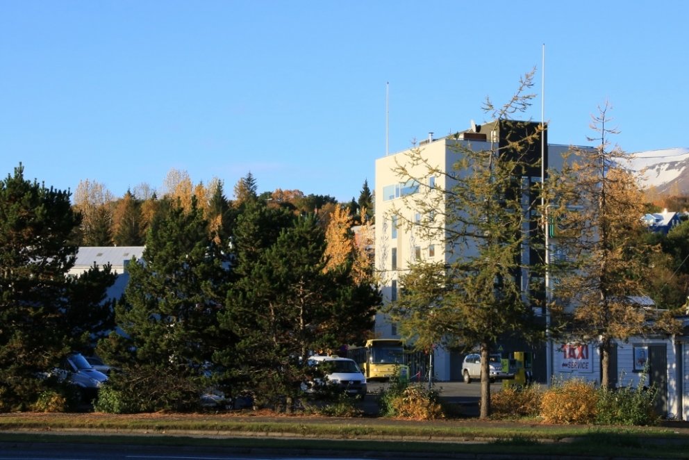 Mikilvægi trjágróðurs í þéttbýli verður seint ofmetið. Trén binda ryk, draga úr hljóðmengun, tempra &hellip;