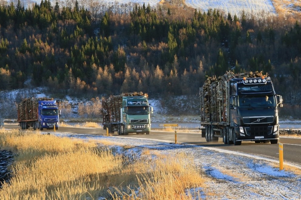 Tilkomumikil og óvenjuleg sjón er að sjá þrjá timburbíla í halarófu á íslenskum vegum. Vaðlareitur í…