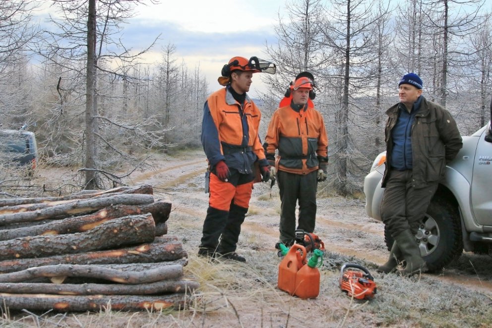 Á Hálsmelum í Fnjóskadal er ríflega tuttugu ára gamall lerkiskógur þar sem áður var þurr og gróðurla&hellip;