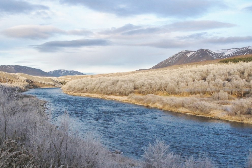 Skógar hægja á vatnsrennsli til sjávar, þeir hreinsa vatn, fóstra líf í vatni og margt, margt fleira&hellip;