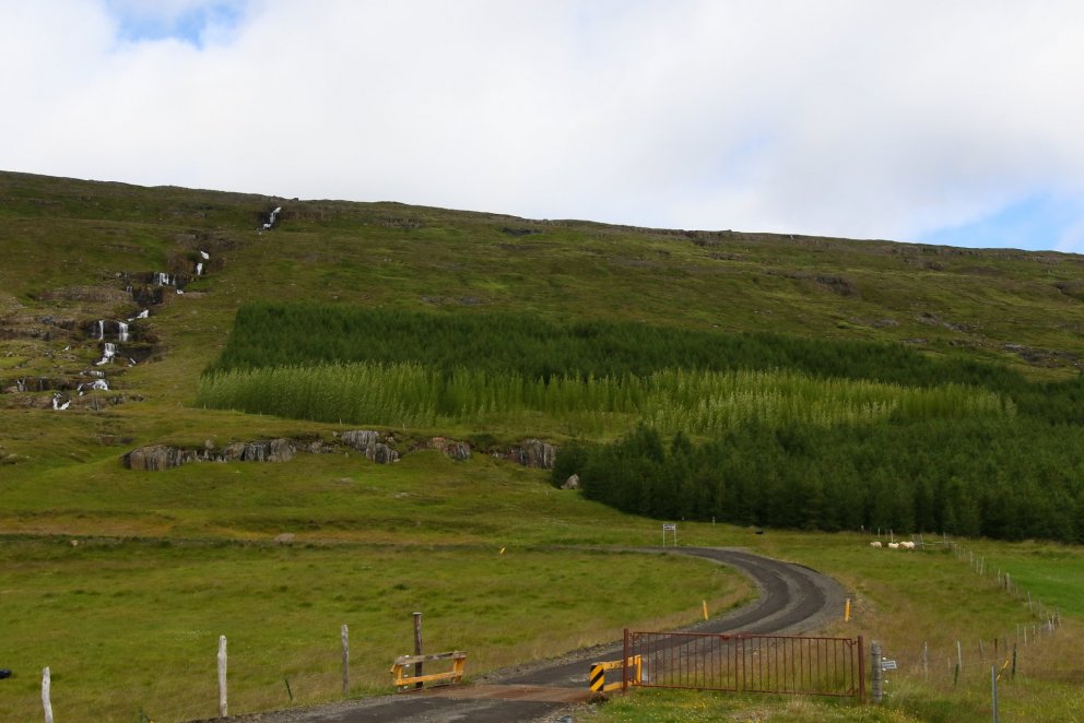 Starfshópurinn leggur meðal annars til að samspil búvörusamninga og girðinga verði kortlagt. Ljósmyn…