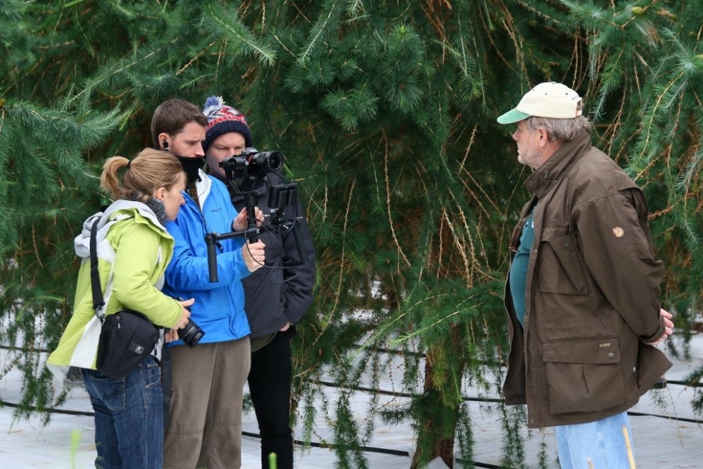 Hjá EUFORGEN þykir forvitnilegt að miðla því sem unnið er að á Íslandi við aðlögun þessi efniviðar s…