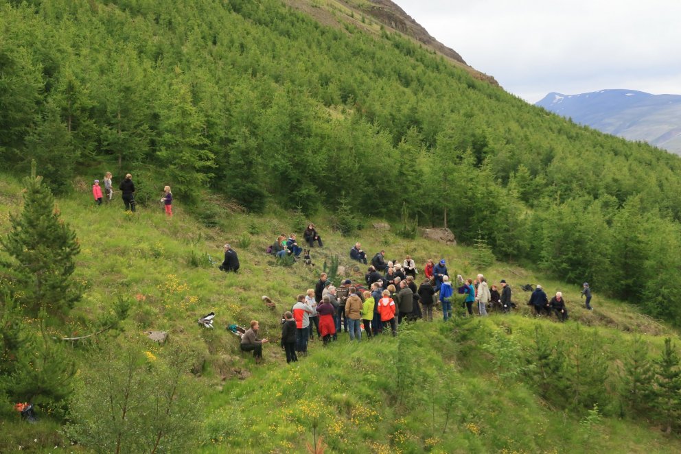 Skógarganga í bændaskógi. Ljósmynd: Pétur Halldórsson