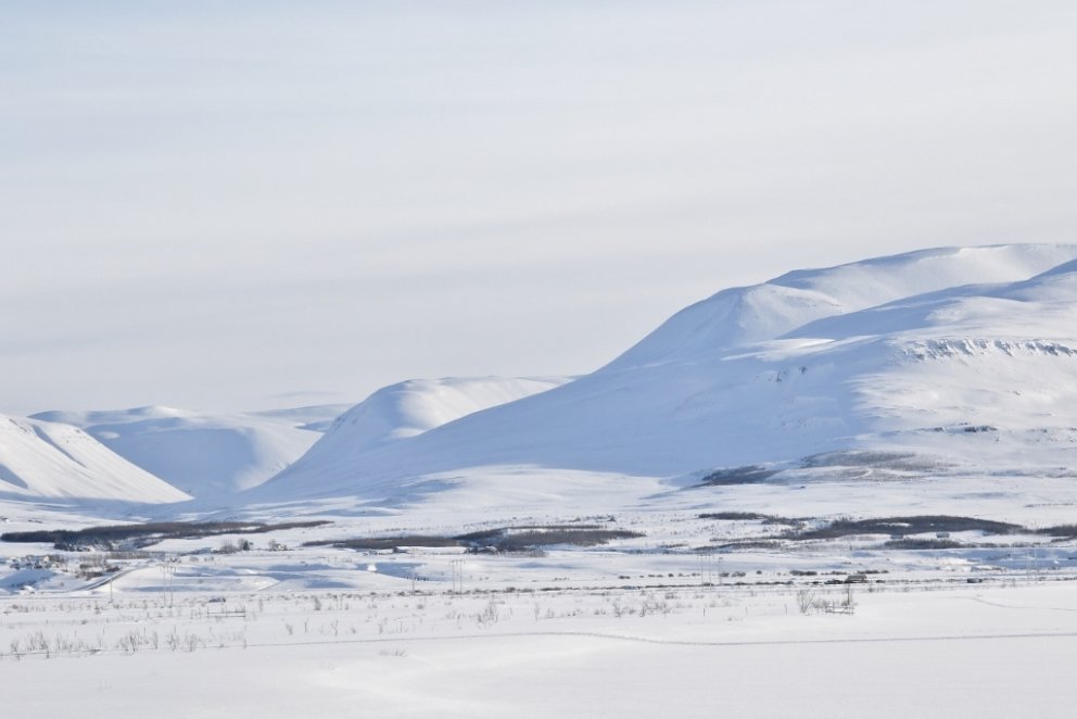 Bændaskógar í Eyjafirði í febrúar 2016.