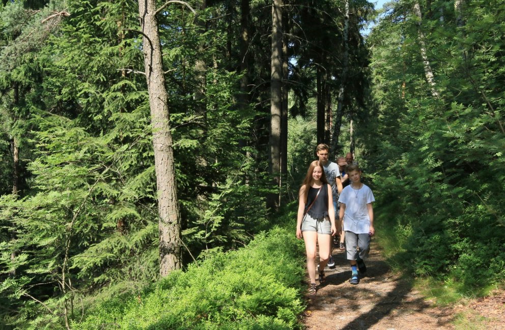 Betri þekking á viðhorfi fólks til skóga og þeim gildum sem fólk tengir við skóga gerir ráðamönnum a…