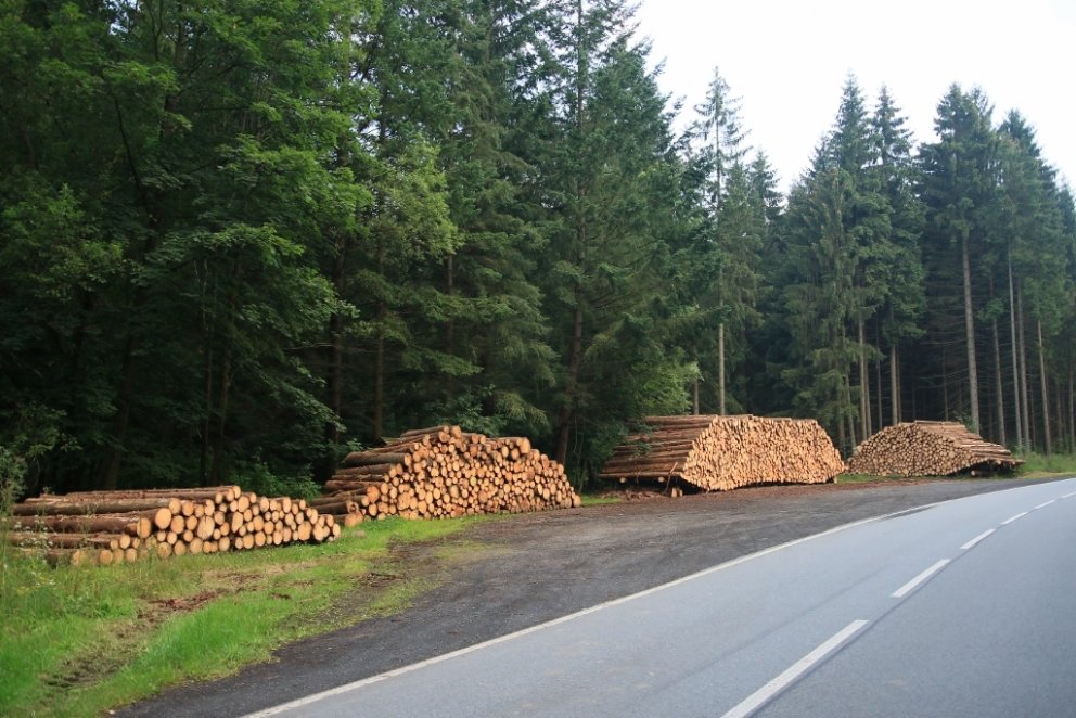Myndarlegir timburstaflar við þjóðveg í Þýskalandi.