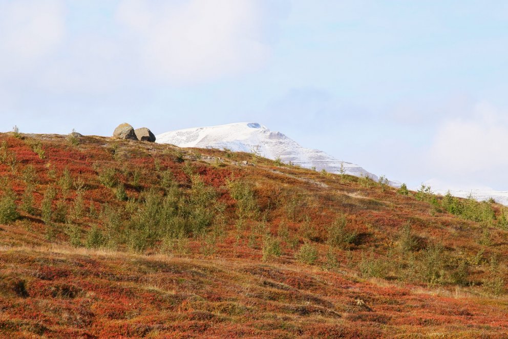 Ljósmynd: Pétur Halldórsson
