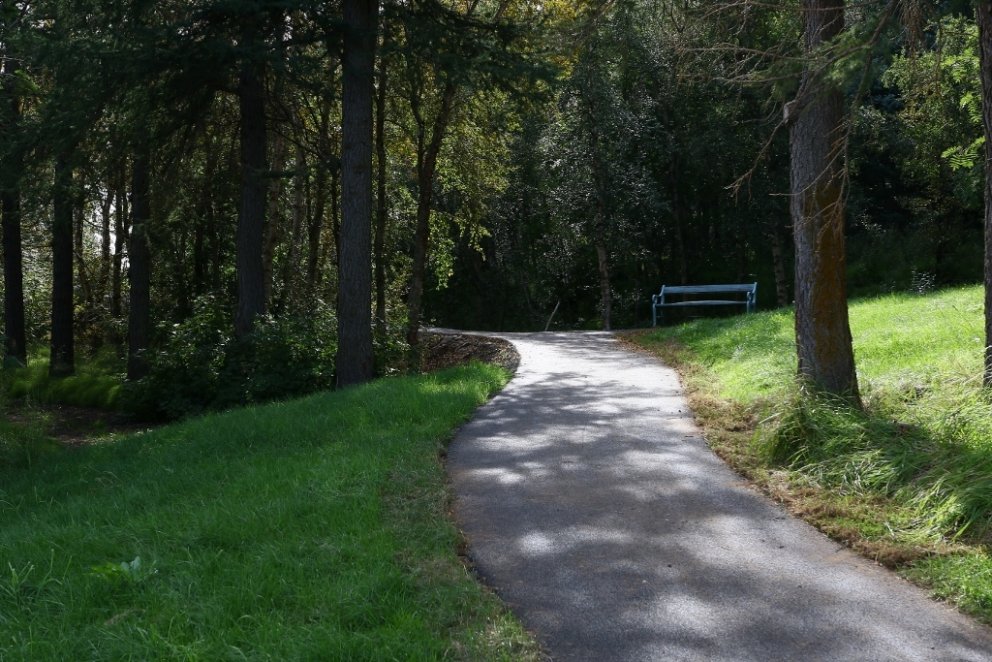 Stígurinn liggur gegnum þroskaðan skóg með ýmsum trjátegundum.