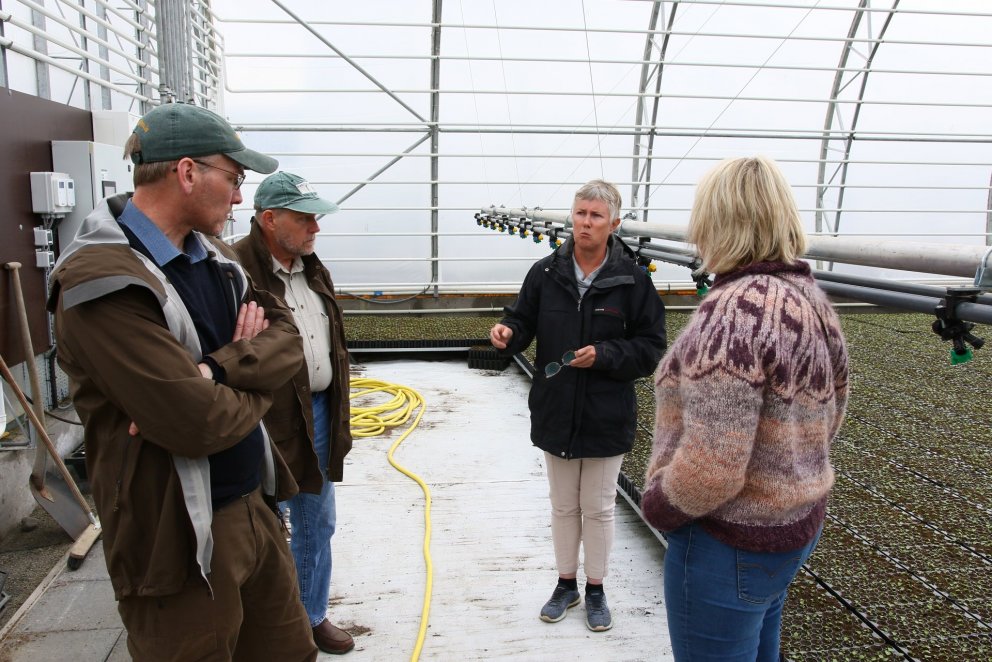 Katrín Ásgrímsdóttir í Sólskógum sýnir gestum frá Skógræktinni birkiplöntuframleiðslu í stöðinni, þe…