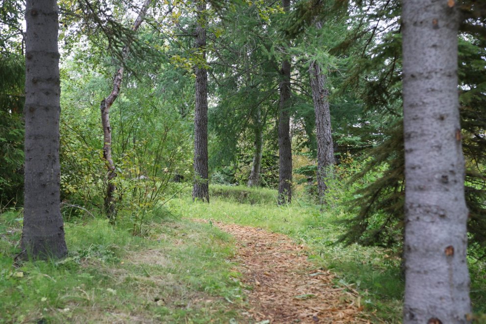 Ljósmynd: Pétur Halldórsson