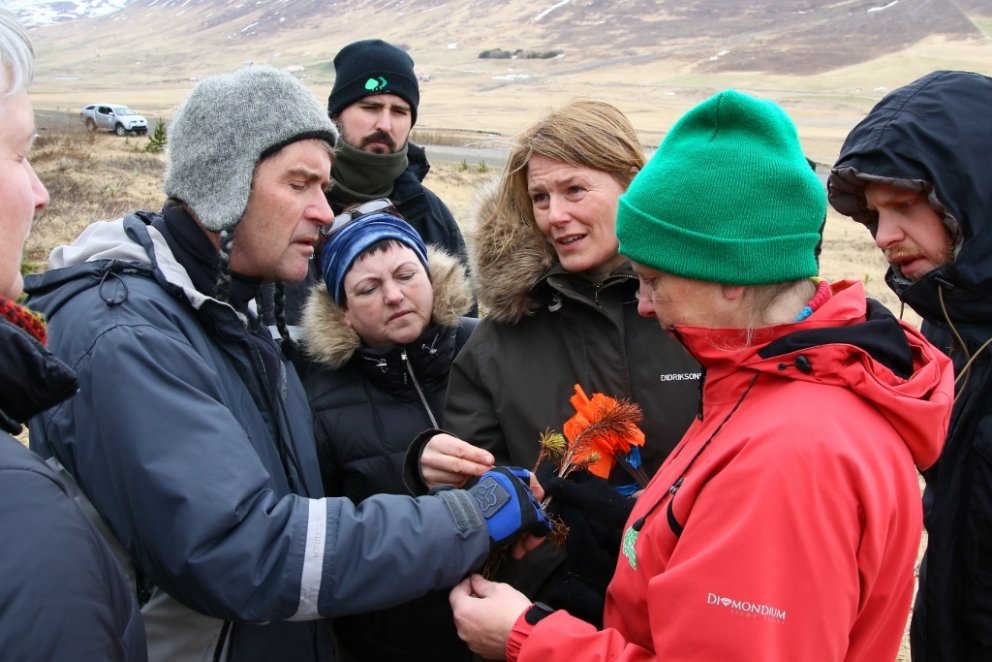 Hér velta skógfræðingarnir fyrir sér hvers vegna þessi unga stafafuruplanta drapst. Ástæðurnar reynd…