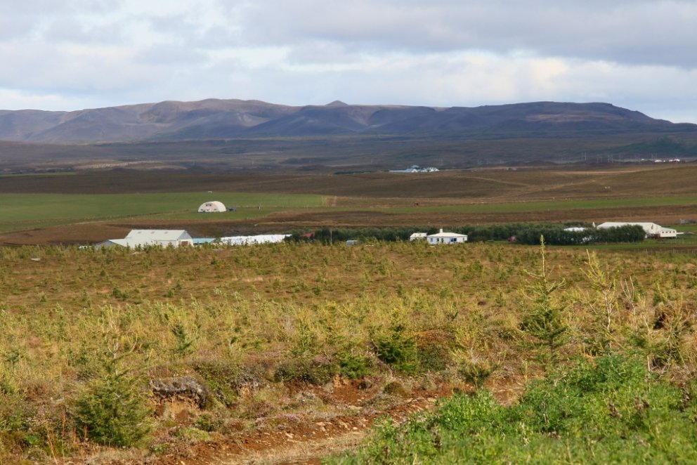 Á Valþjófsstöðum í Núpasveit er unnið af metnaði að uppgræðslu á rýrum svæðum og sum þeirra eru teki…
