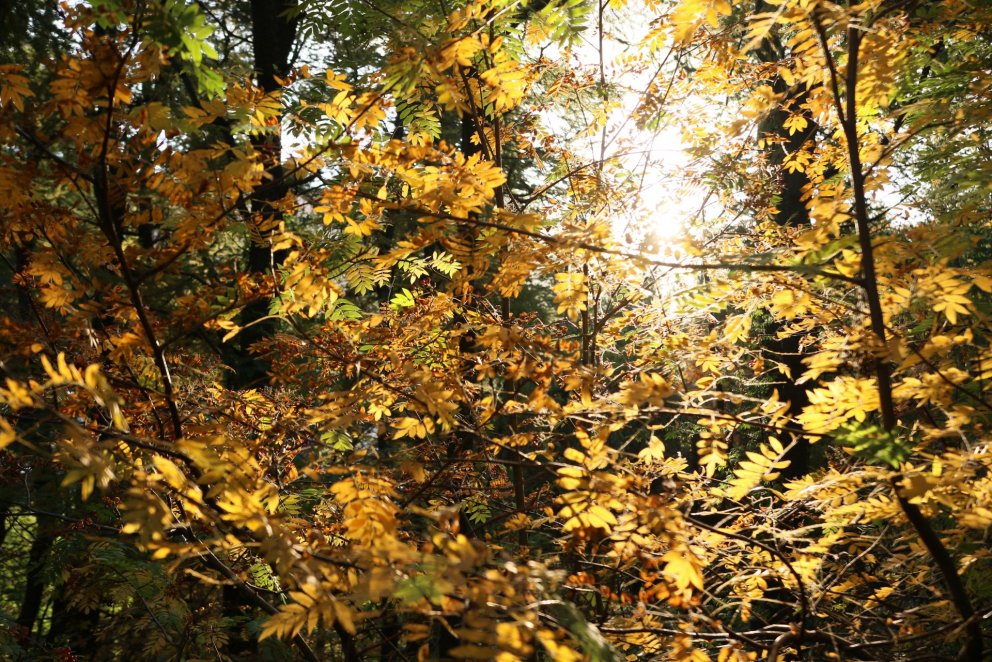 Ljósmynd: Pétur Halldórsson