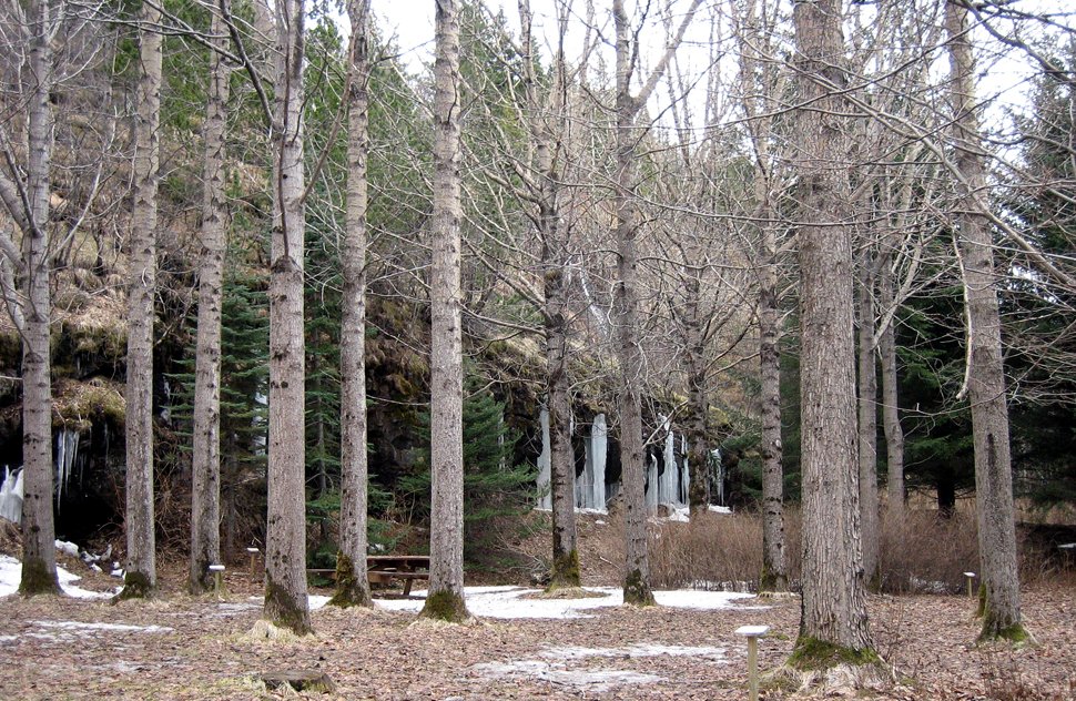 Fimmtíu ár frá
aprílhreti