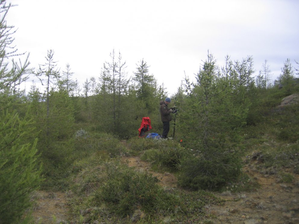 Landskógarúttekt 2012 lokið