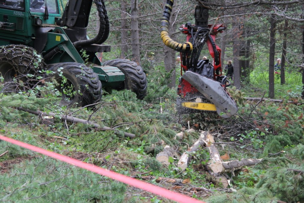 Milljarð í „græna gullið“