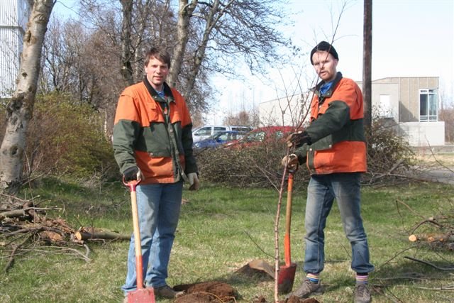 Vorverk í garðinum