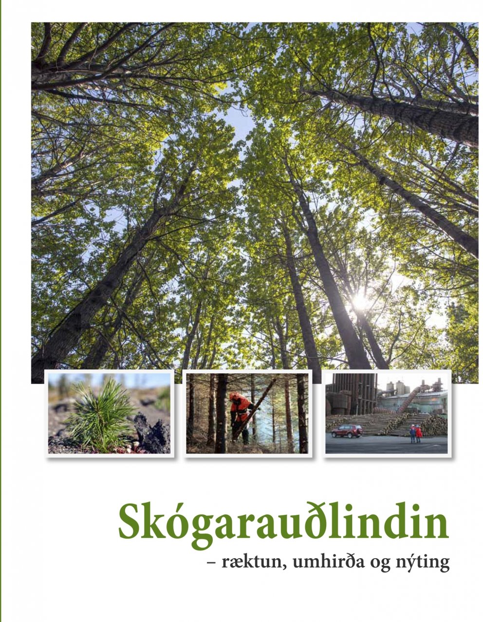 Ný skógræktarbók: Skógarauðlindin