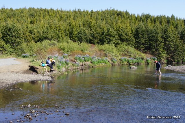 Landnámsdagur í Þjórsárdal