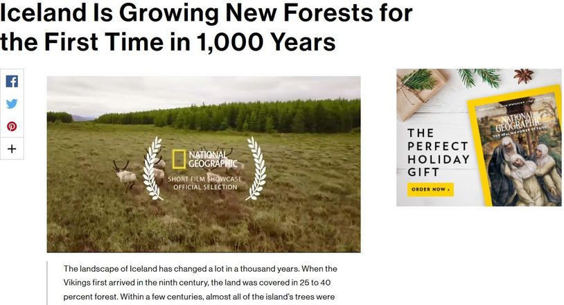 Icelandic forestry on National Geographic's Short Film Showcase