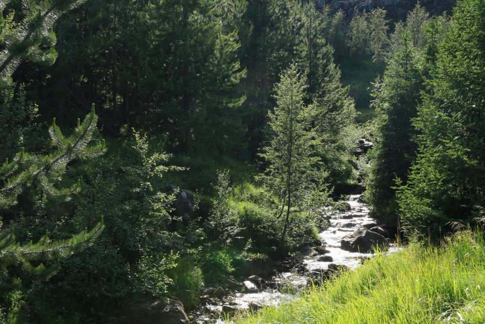 Gegnum verkefnið Responsible Iceland getur ferðafólk kolefnisjafnað ferðalag sitt til landsins og st…