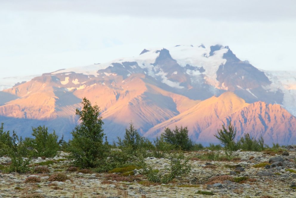 Af Skeiðarársandi. Ljósmynd: Pétur Halldórsson