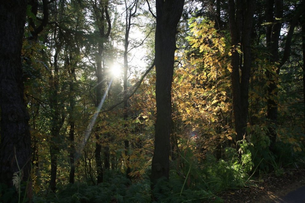 Photo: Pétur Halldórsson