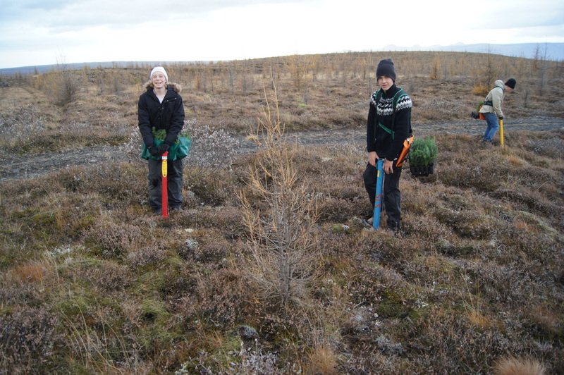 Hvenær setur maður Íslandsmet og hvenær setur maður ekki Íslandsmet?