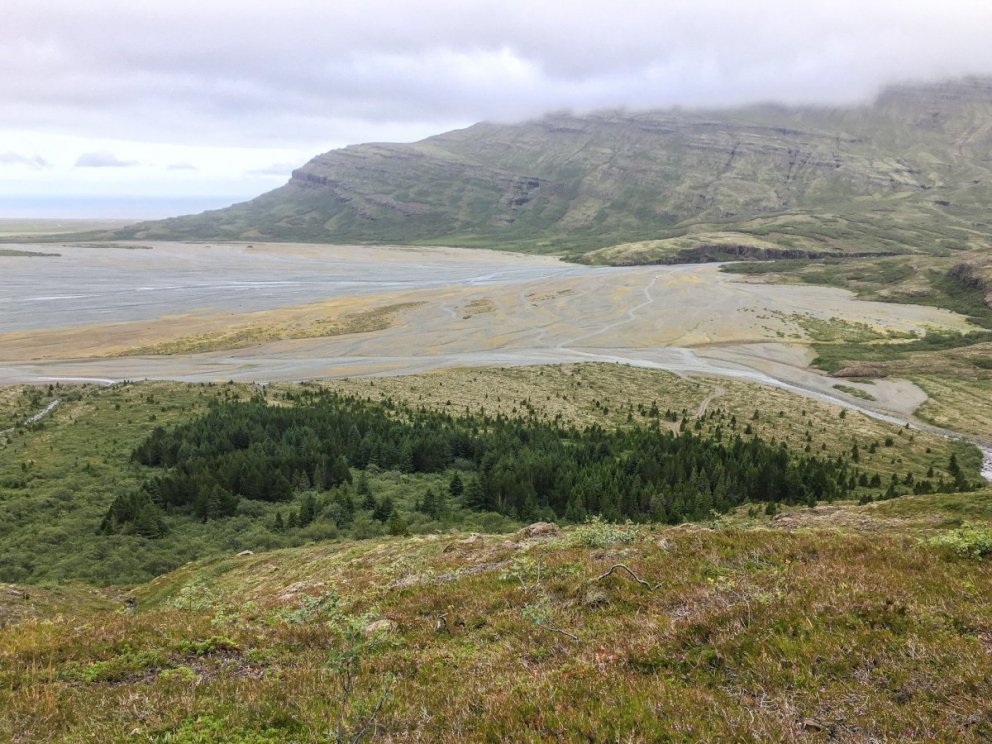 Séð yfir svæðið úr hlíðum Staðarfjalls. Næst er gróðursetti reiturinn og utan hans má sjá útbreiðslu…
