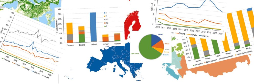 A composed picture with statistics material from the report: SNS