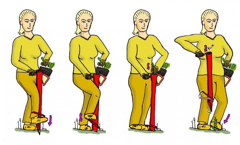 Fræðsluefni um skógrækt