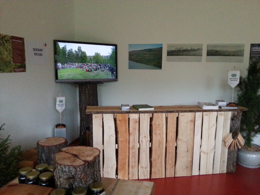 Fjölsóttur bás á atvinnusýningu