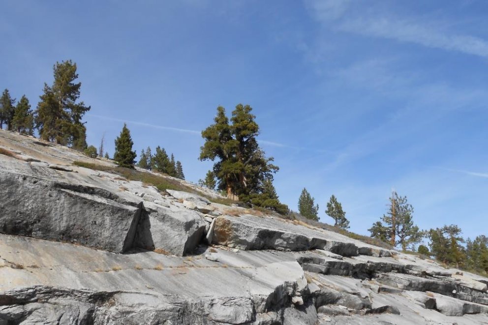 Öldungarnir II: Einir