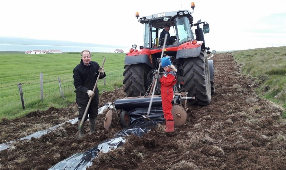 Plastlagning fyrir skjólbelti á Mýrum III í Hrútafirði. Mynd: Sæmundur Þorvaldsson.