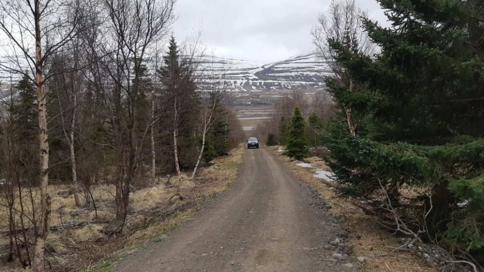 Gamla heimreiðin af Eyjafjarðarbraut og upp í Kjarna í maí 2020. Þegar þessi mynd er borin saman við…