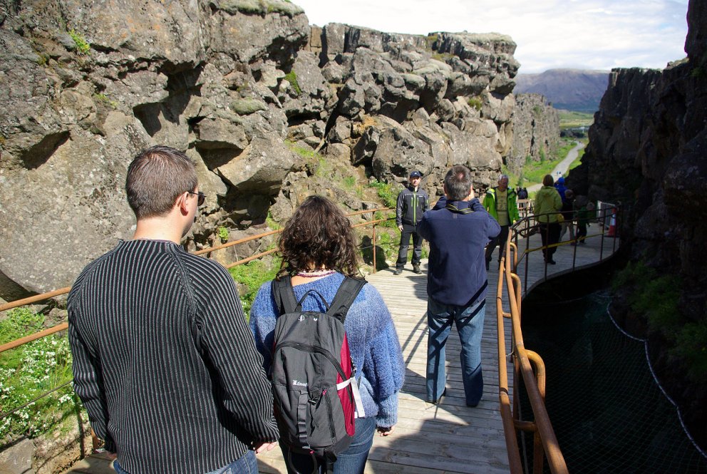 Tæplega sextugur skógur brúar gap í Almannagjá