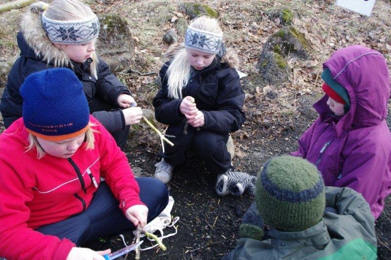 Sjálfbærniverkefni í skógarnámi