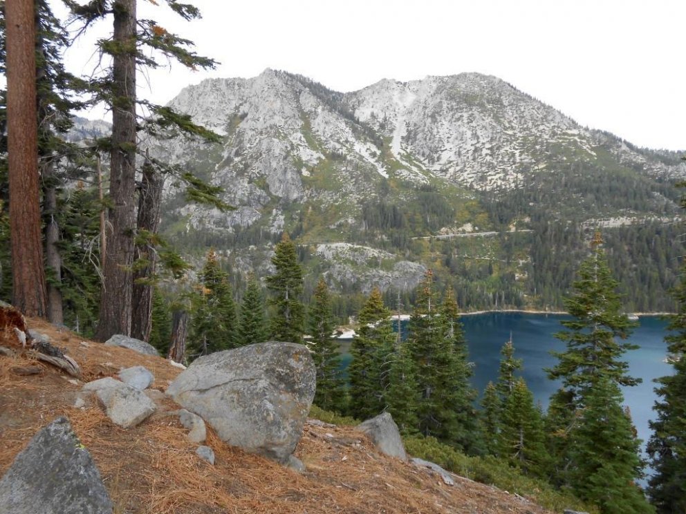 Jeffreyfuran og Tahoe