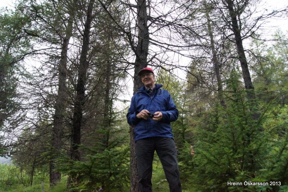 Skoðar trén sem hann gróðursetti fyrir 58 árum