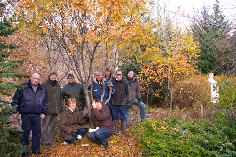 Lesið í skóginn á Vestfjörðum