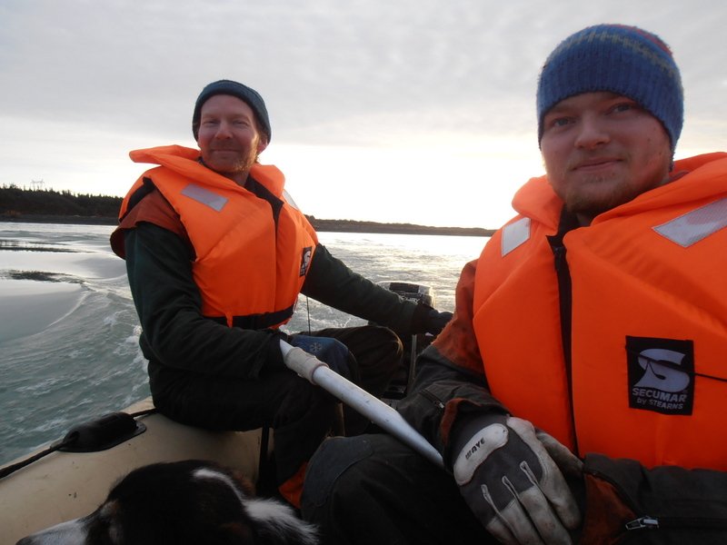 Grisjun í Skarfanesi